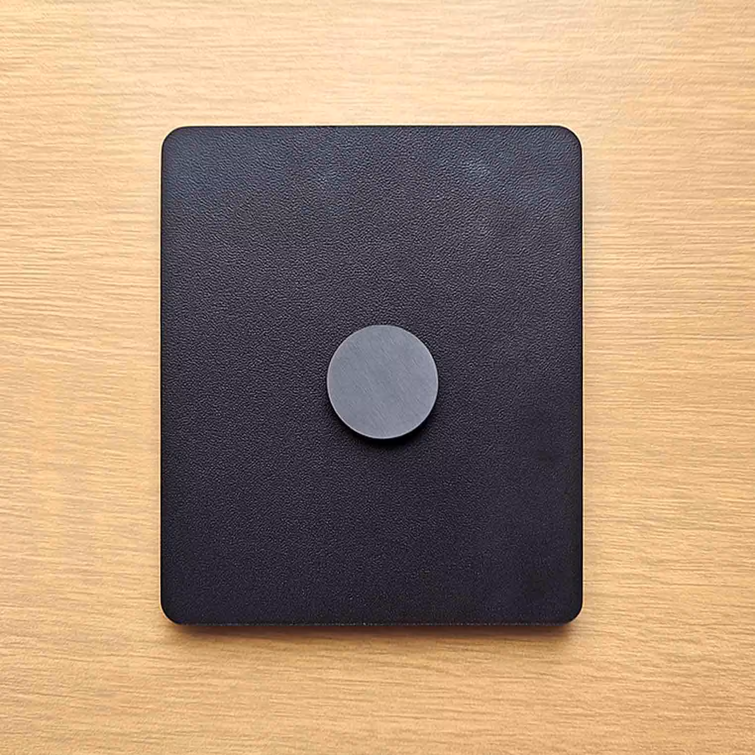 Ayodhya 3D Travel Fridge Magnet