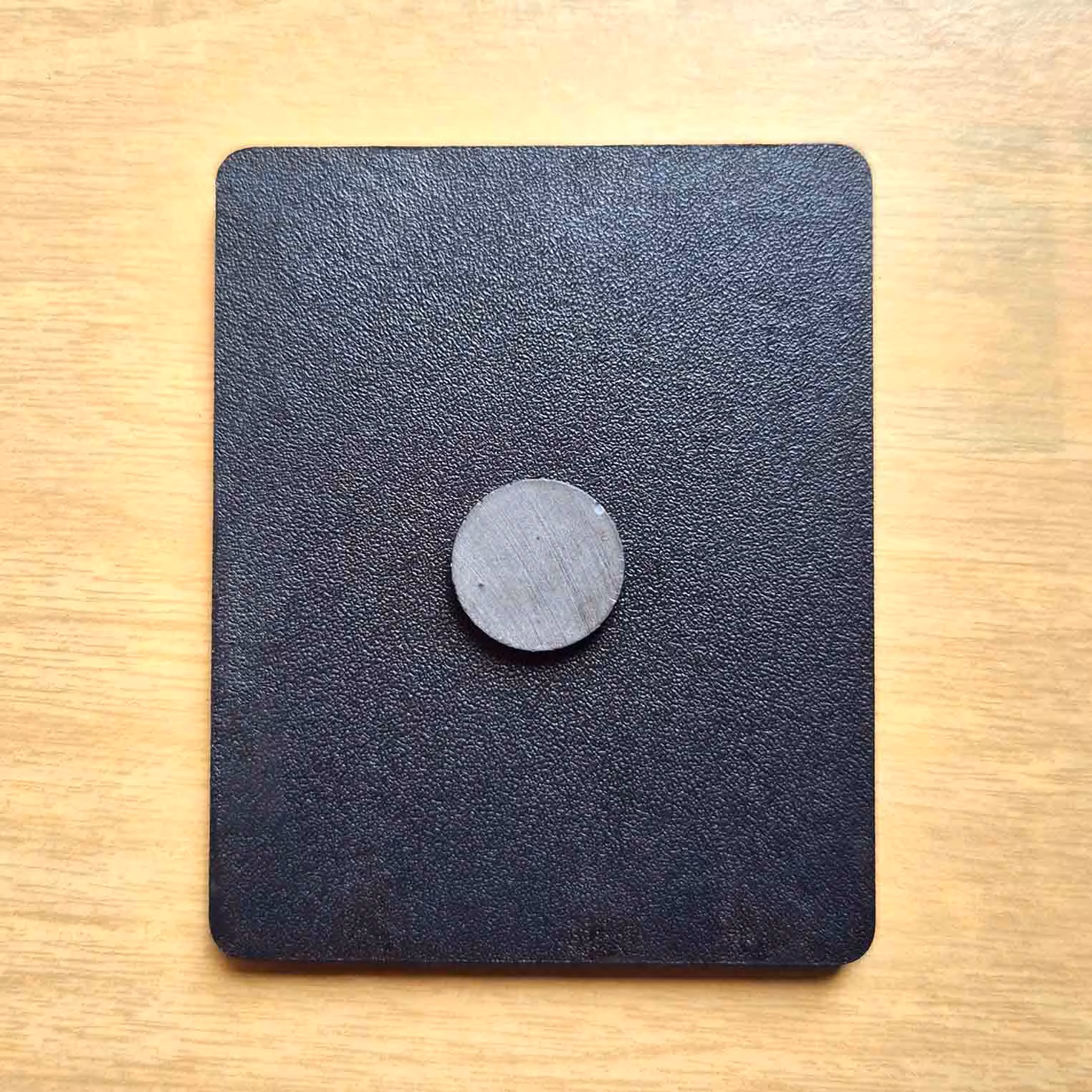 India Expedition 3D Travel Fridge Magnet